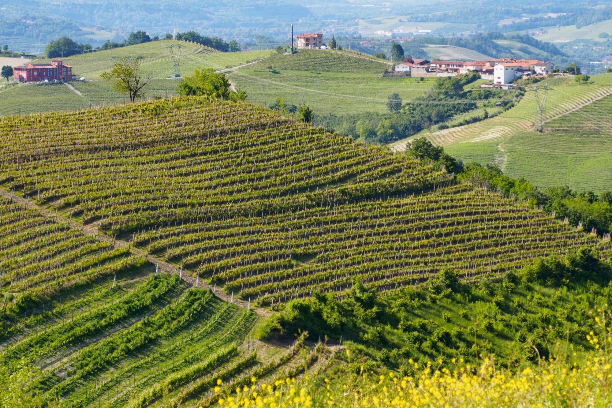 Villa Casa Felice Farigliano Esterno foto