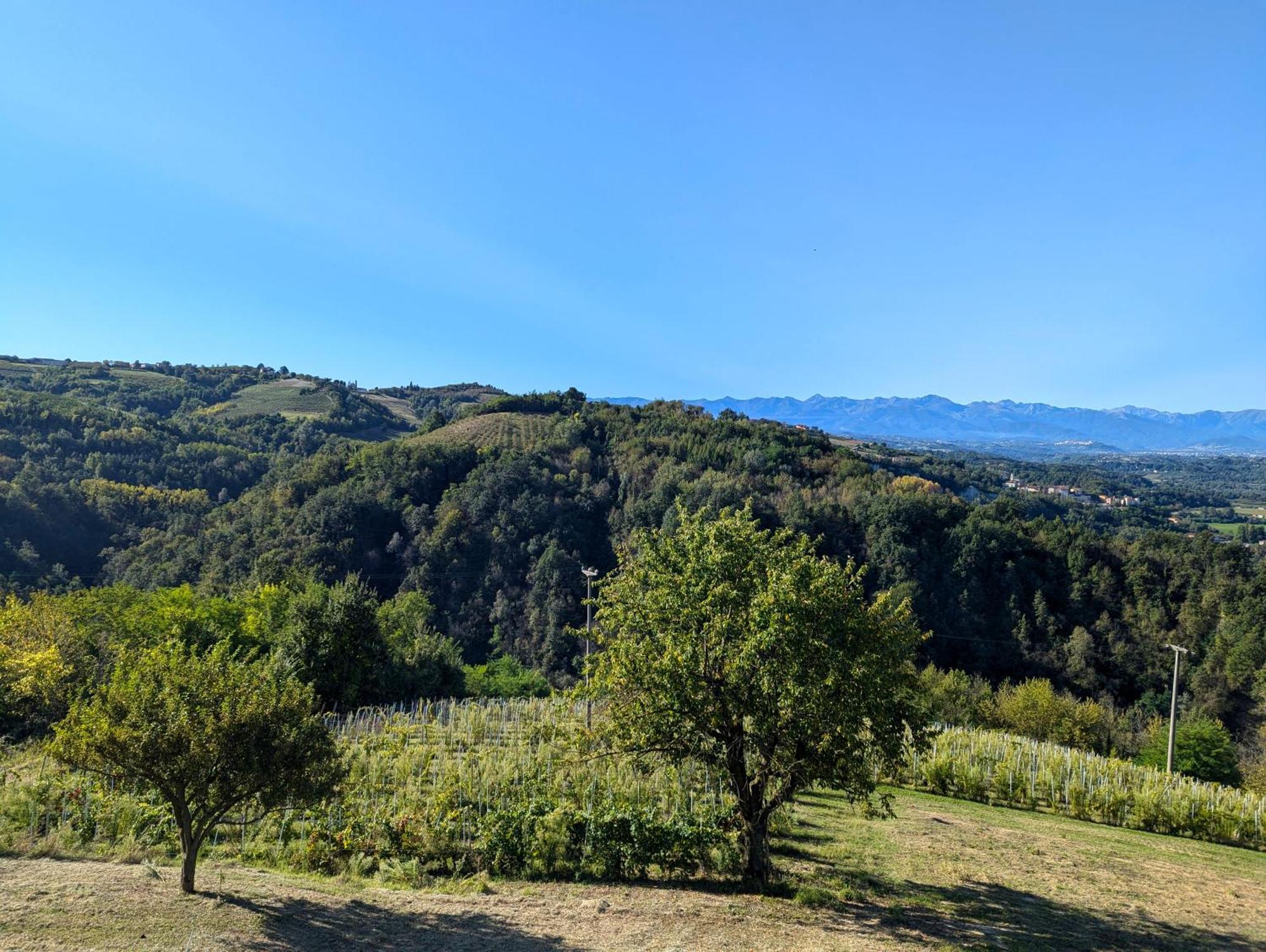 Villa Casa Felice Farigliano Esterno foto