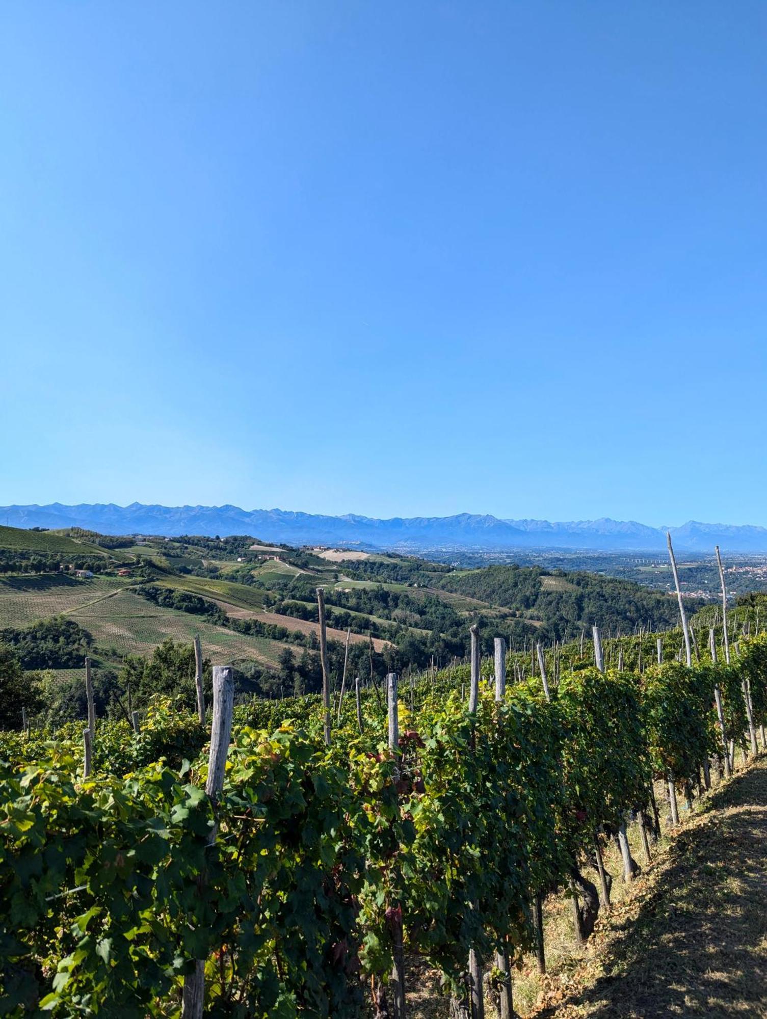 Villa Casa Felice Farigliano Esterno foto